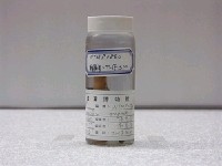 藏品(孔鰕虎魚)的圖片